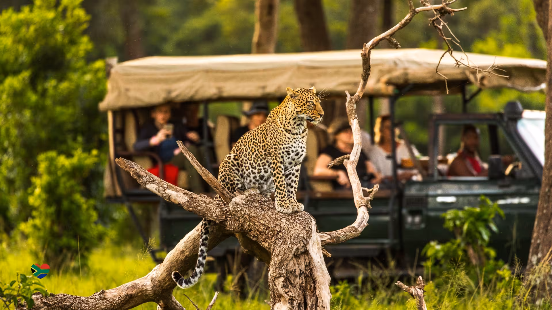 Strength-Led Retreats in the Heart of the Wild